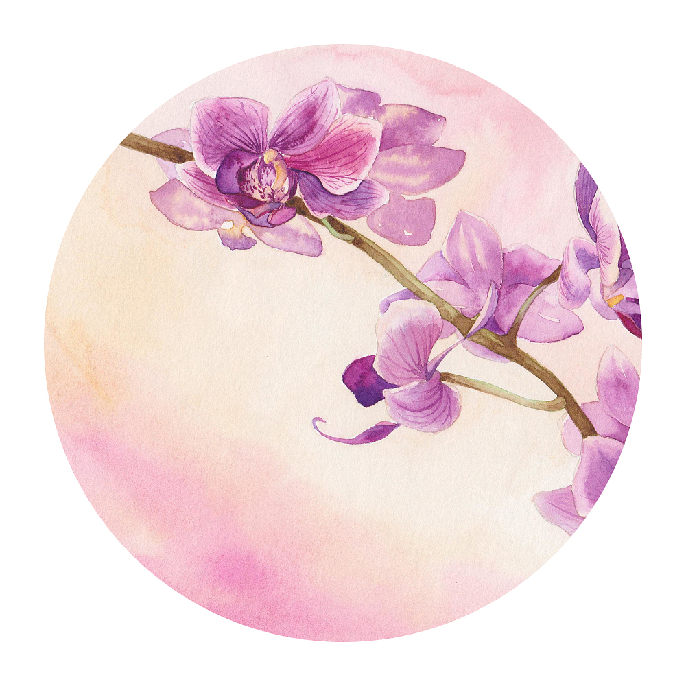 花信風（圖ZOTU0OTE5MTI=） - 商業(yè)插畫 - 站酷設計師吳都Jasmine原創(chuàng)素材 - 站酷ZCOOL