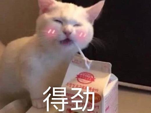 芒果干