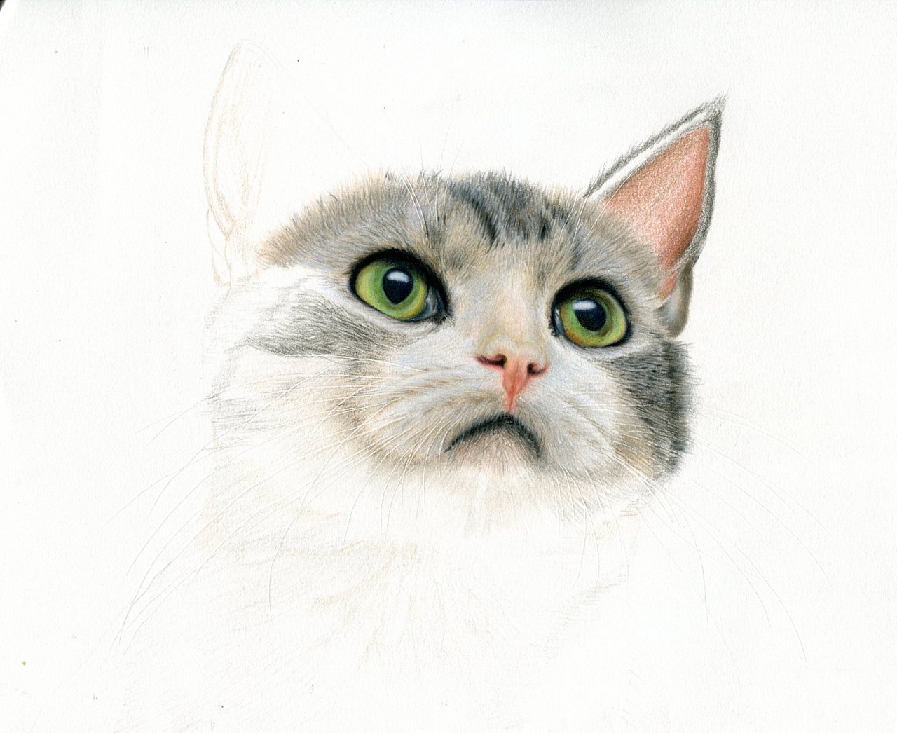 彩铅-冥想喵|纯艺术|绘画|心悦彩铅绘 - 原创作品 - 站酷 (zcool)