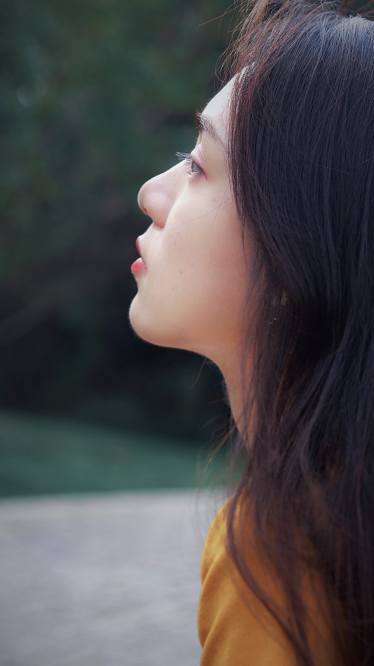 秋天也是绿色的