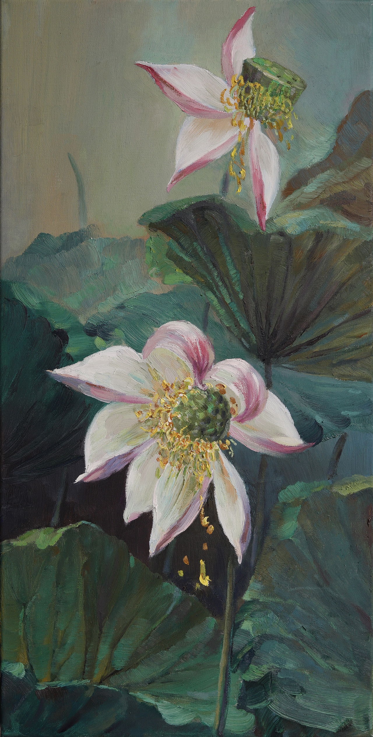 荷花（图ZMjI1NTc5ODQw） - 绘画 - 站酷设计师天鹏Z原创素材 - 站酷ZCOOL