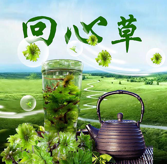 商城Banner（图ZMTE4MDE0Njky） - 图案 - 站酷设计师Ruiwan_原创素材 - 站酷ZCOOL