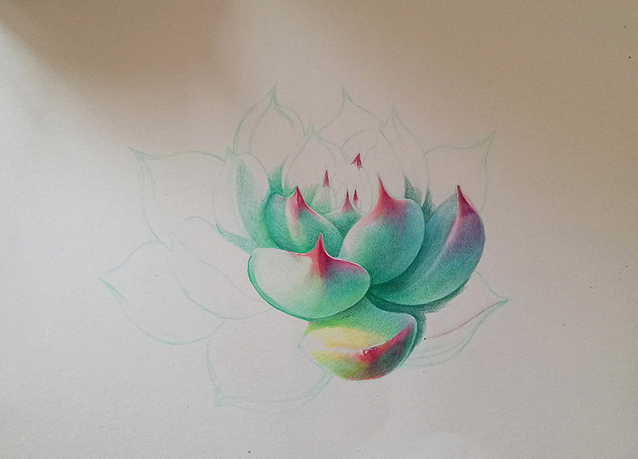 吉娃娃（图ZODcwMjczMDQ=） - 创作习作 - 站酷设计师鱼京鱼鱼原创素材 - 站酷ZCOOL