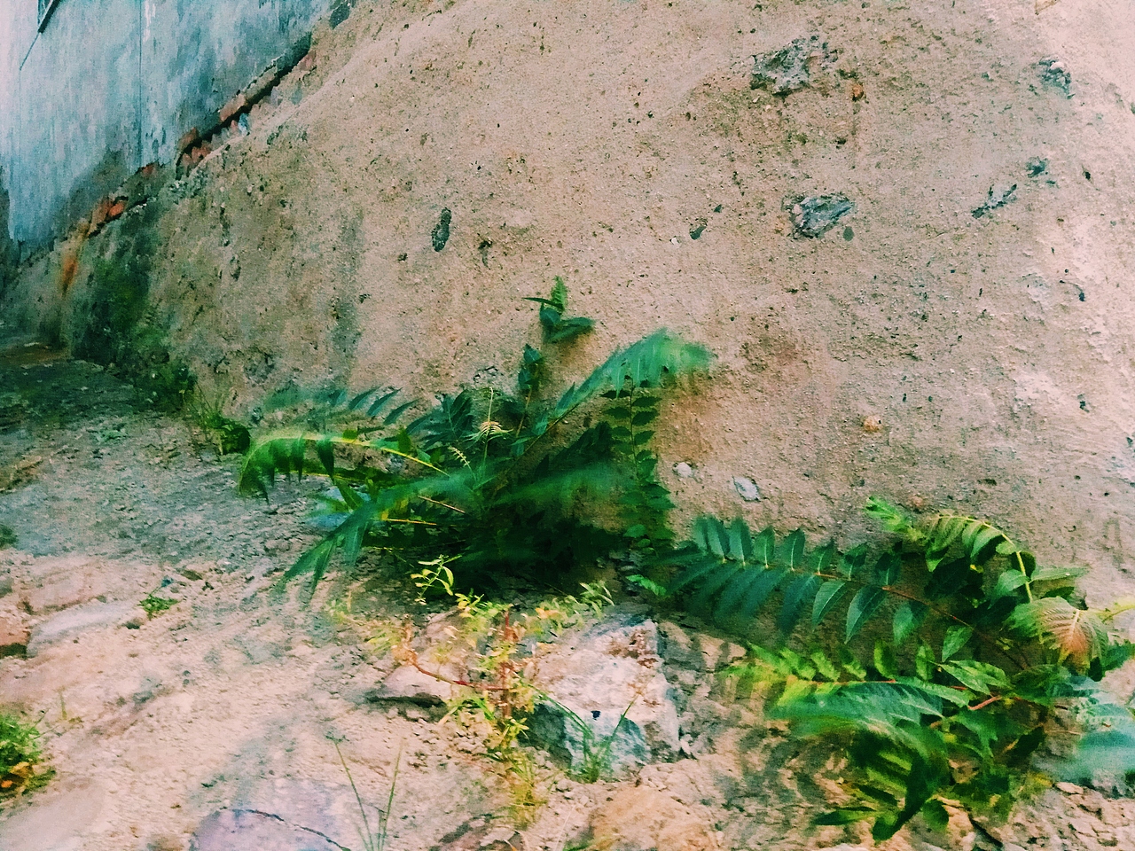 抓住夏天的尾巴