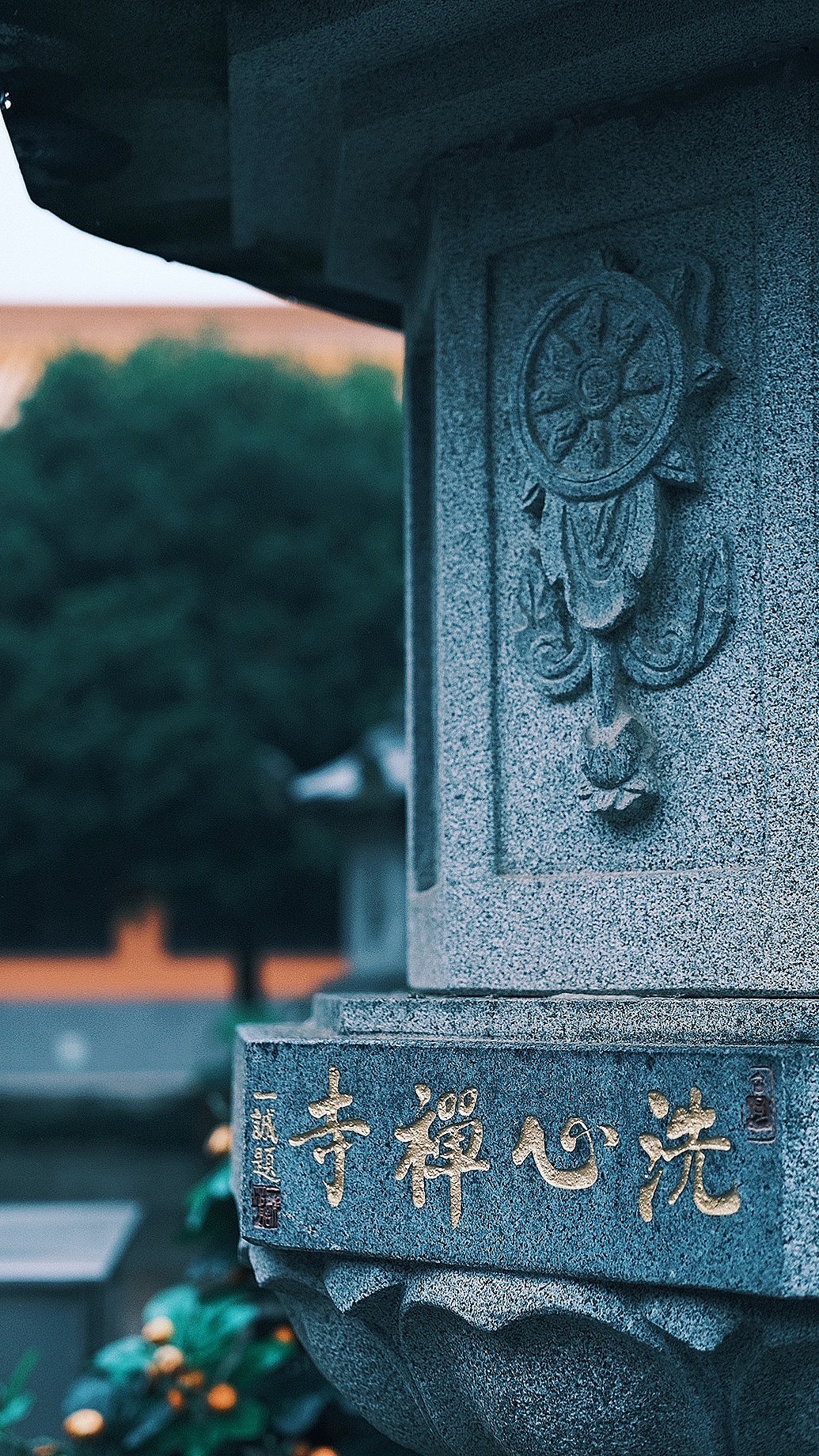 每日随拍:洗心禅寺 愿所念即所得,一切安好!