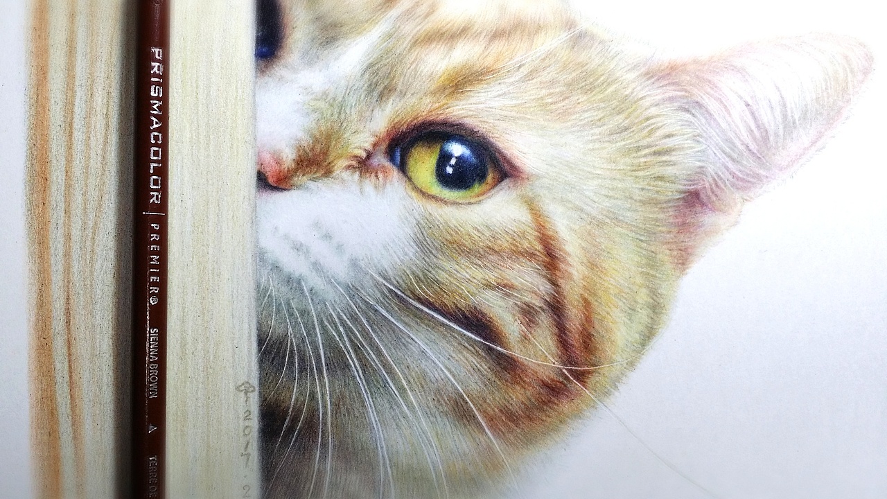 压岁钱不够图（图ZNjk1OTE3OTI=） - 绘画 - 站酷设计师林朵云原创素材 - 站酷ZCOOL