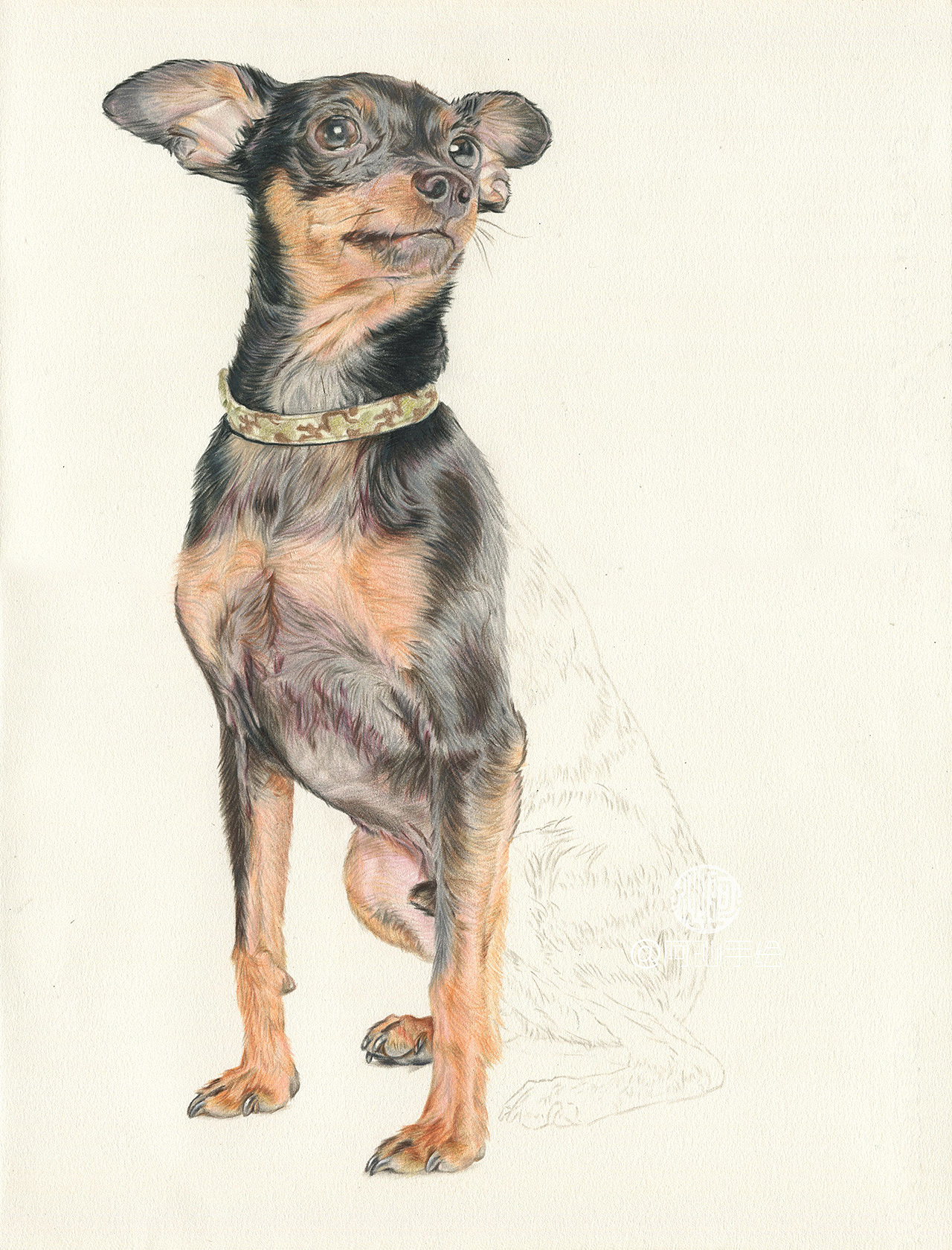三只小型犬-阿沁作品（图ZMTEwOTYzNzgw） - 绘画 - 站酷设计师煜芮原创素材 - 站酷ZCOOL