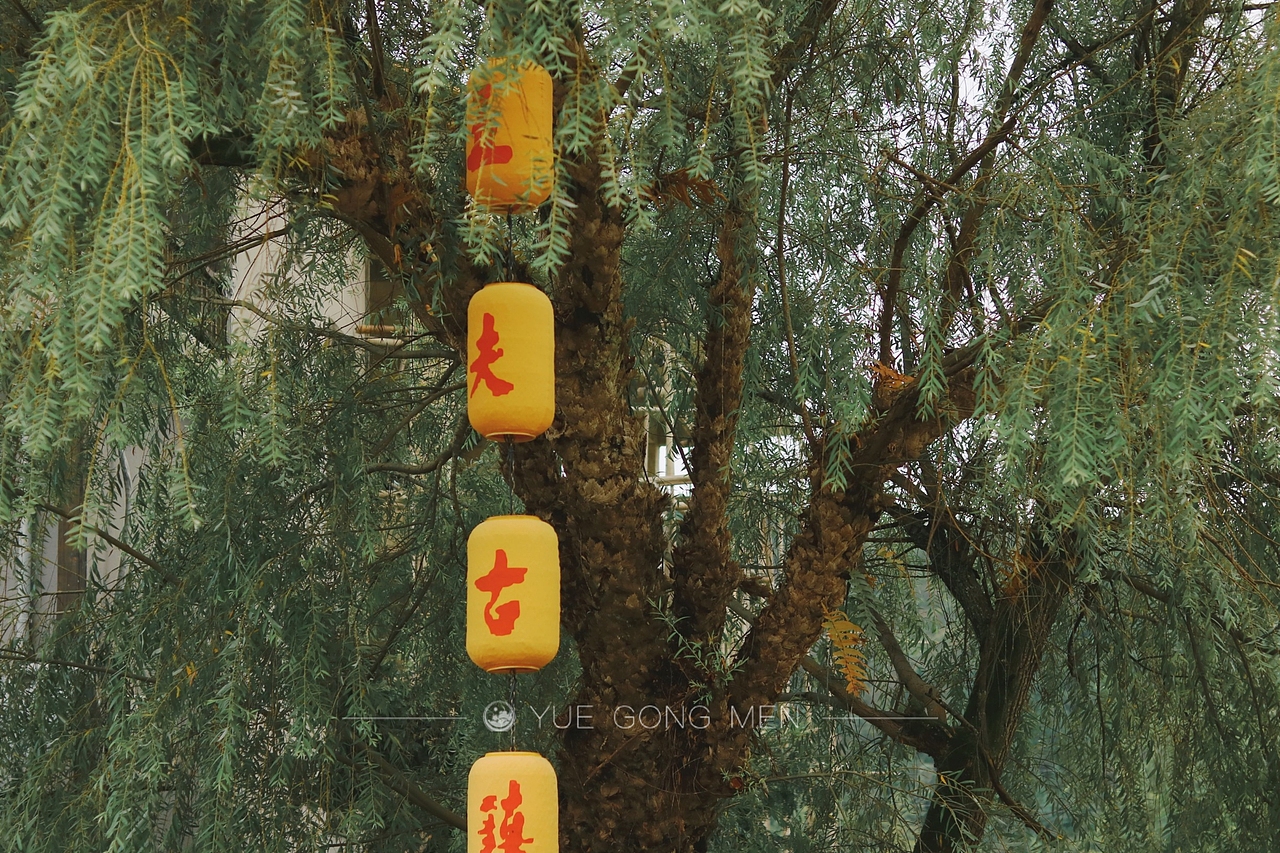 【游记】五夫古镇——墟日