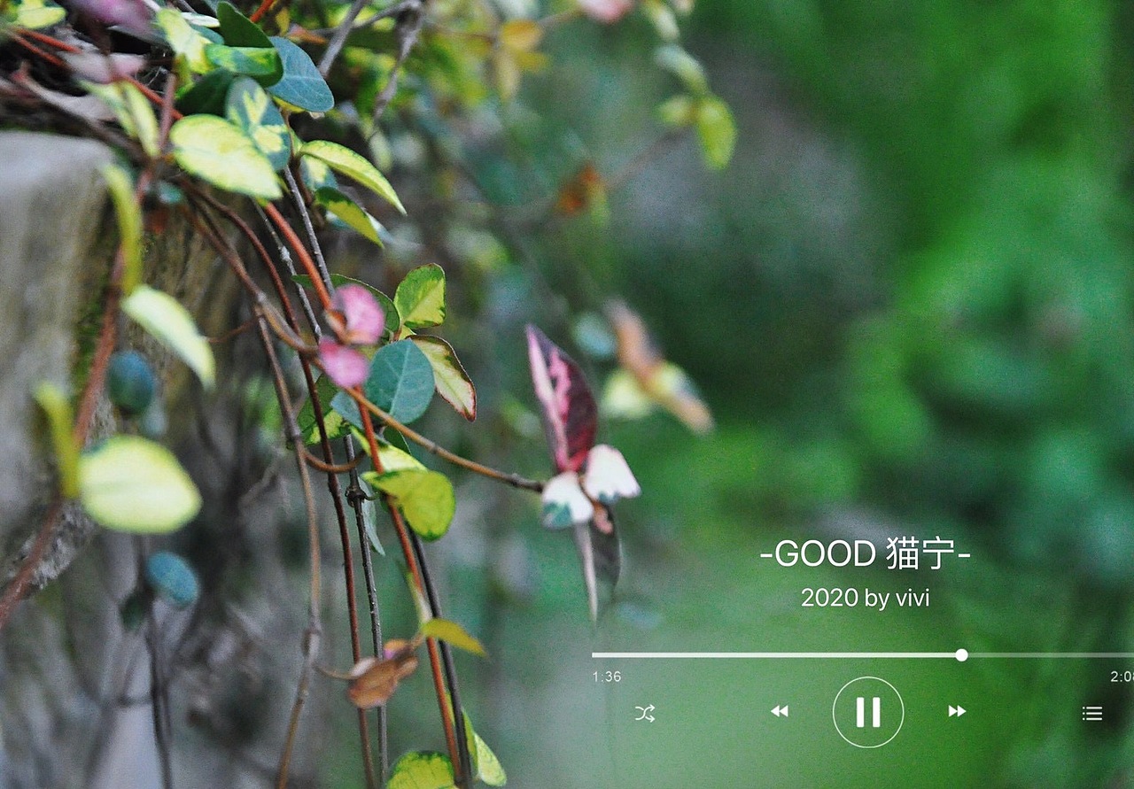 摄影作品4-花草/雨露