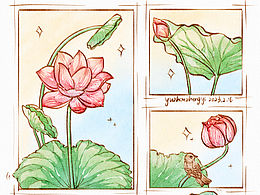 原创分镜|钢笔淡彩(植物系)