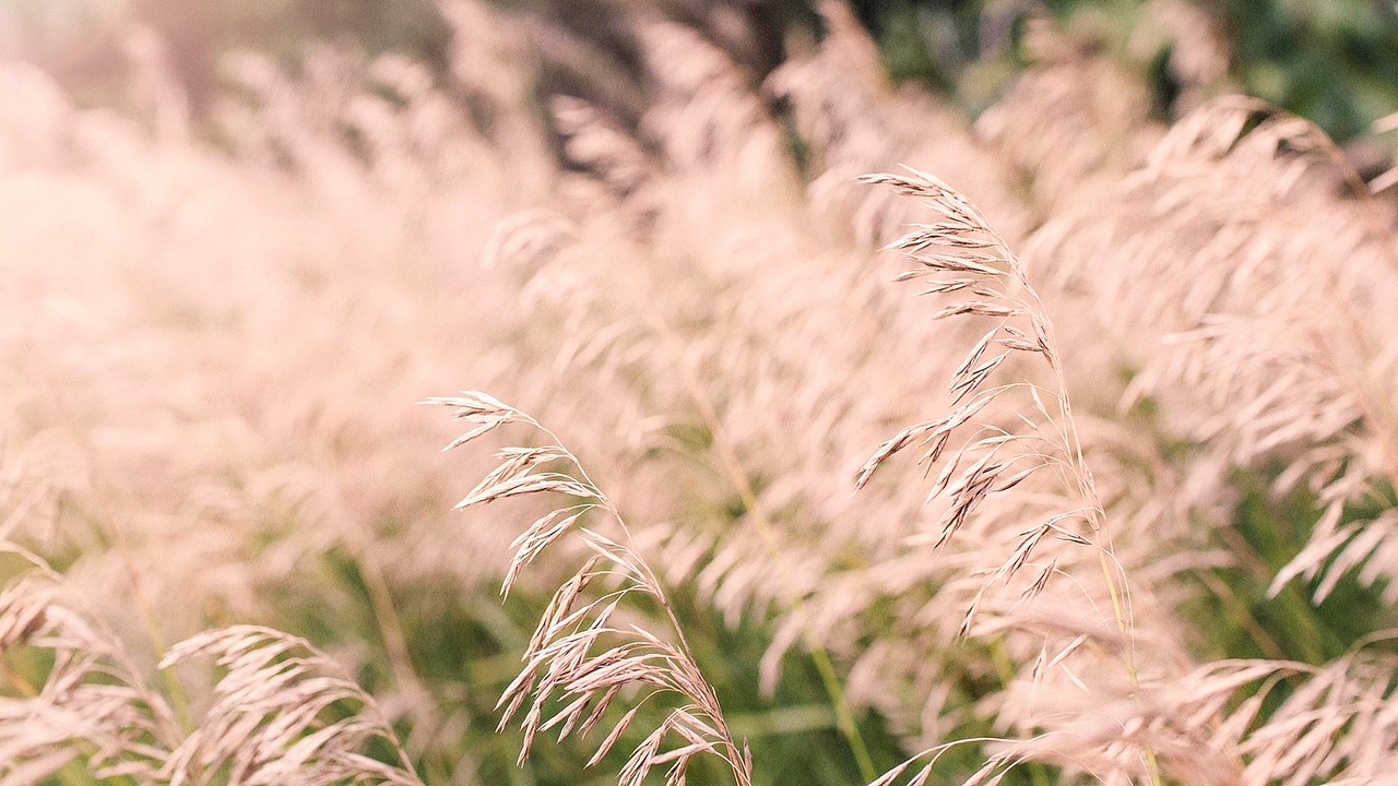 AE动效展示（图ZMTYwODYyODE2） - 交互/UE - 站酷设计师欢喜tsw原创素材 - 站酷ZCOOL