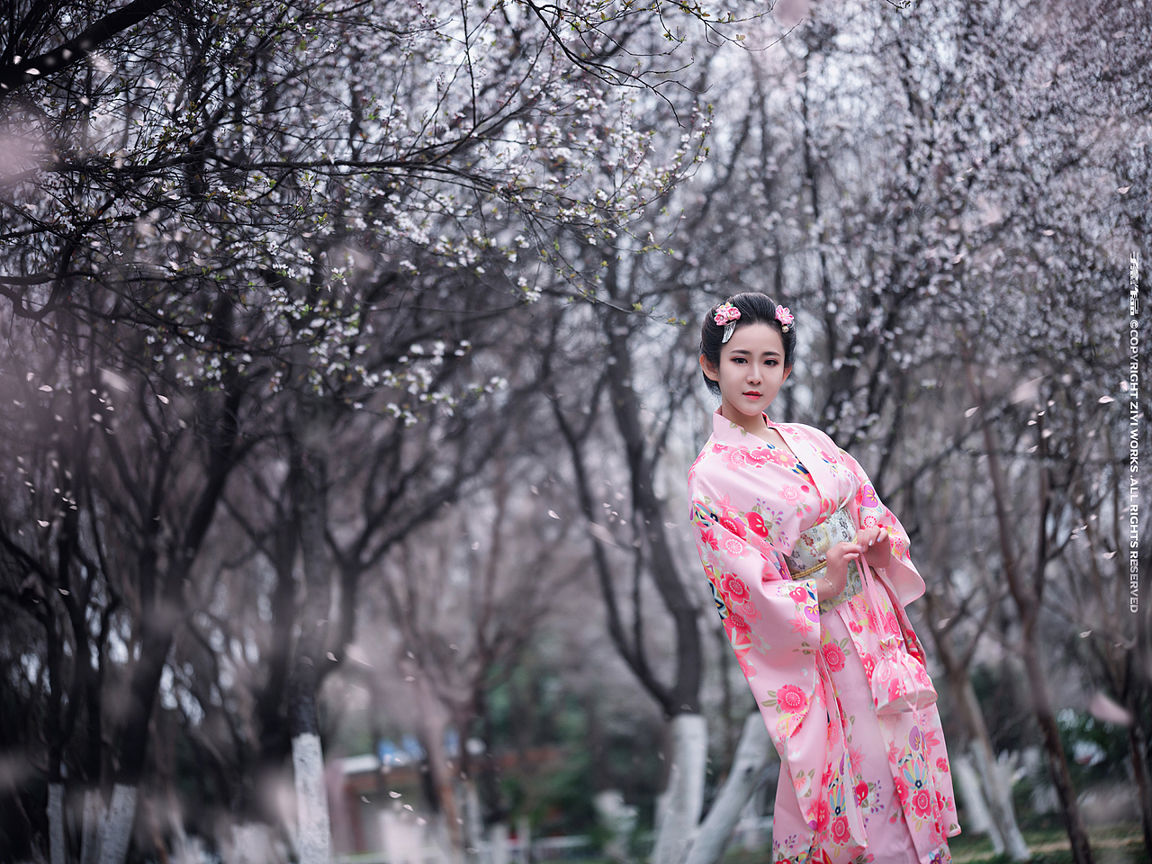 《樱花雨季》（图ZMjQ1OTg2ODcy） - 人像摄影 - 站酷设计师摄影师子意原创素材 - 站酷ZCOOL