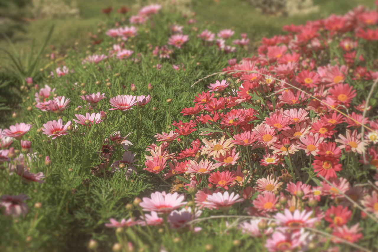 云南-大理旅游随记