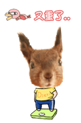 HI~我是爆乳飞（图ZMTc5MzE2MA==） - 宠物摄影 - 站酷设计师pinkmana原创素材 - 站酷ZCOOL