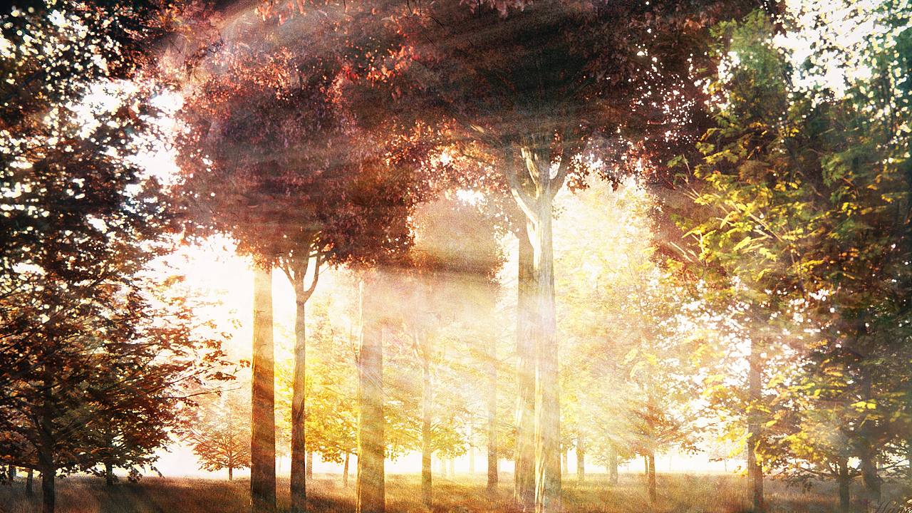 悲喜枯荣 黄昏落幕 Season（图ZMTc2MzgzNjI0） - 场景 - 站酷设计师Klace_Haue原创素材 - 站酷ZCOOL