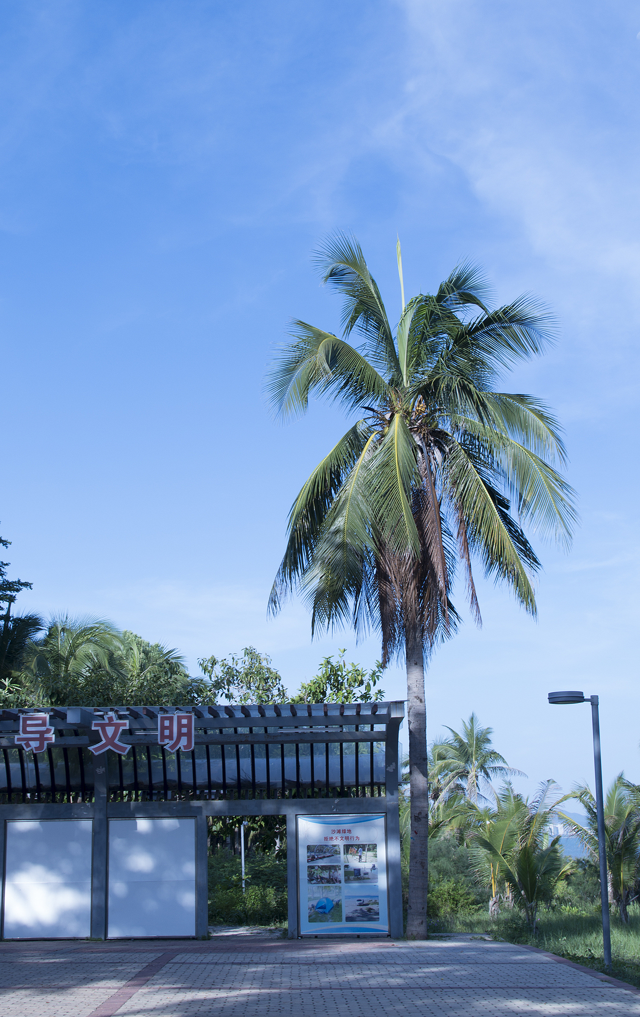 三亚三亚湾拍摄（图ZODEyNTExNzI=） - 风光摄影 - 站酷设计师宝藏凡原创素材 - 站酷ZCOOL