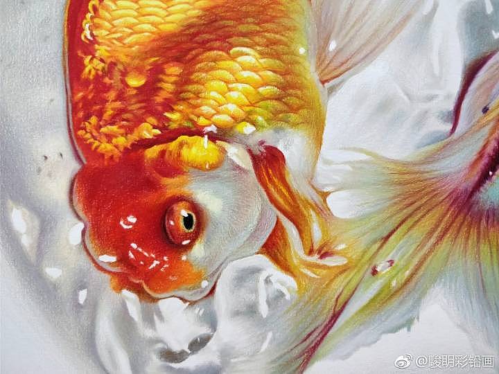 17年完成的彩铅画