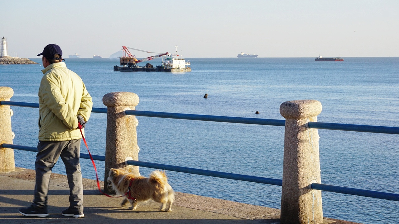 冬日青岛（图ZOTkzNTkwMDA=） - 风光摄影 - 站酷设计师媴同學原创素材 - 站酷ZCOOL