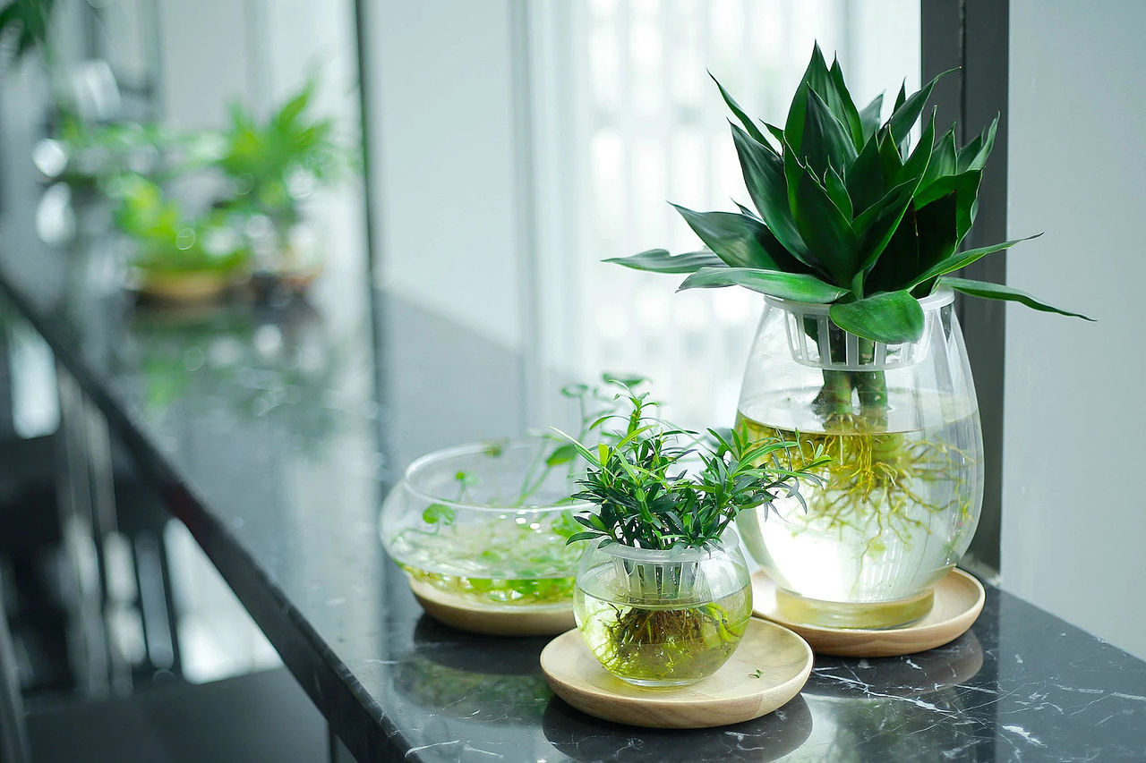 云华互动济南办公室:开放空间里的精致创意