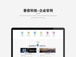 企业网站