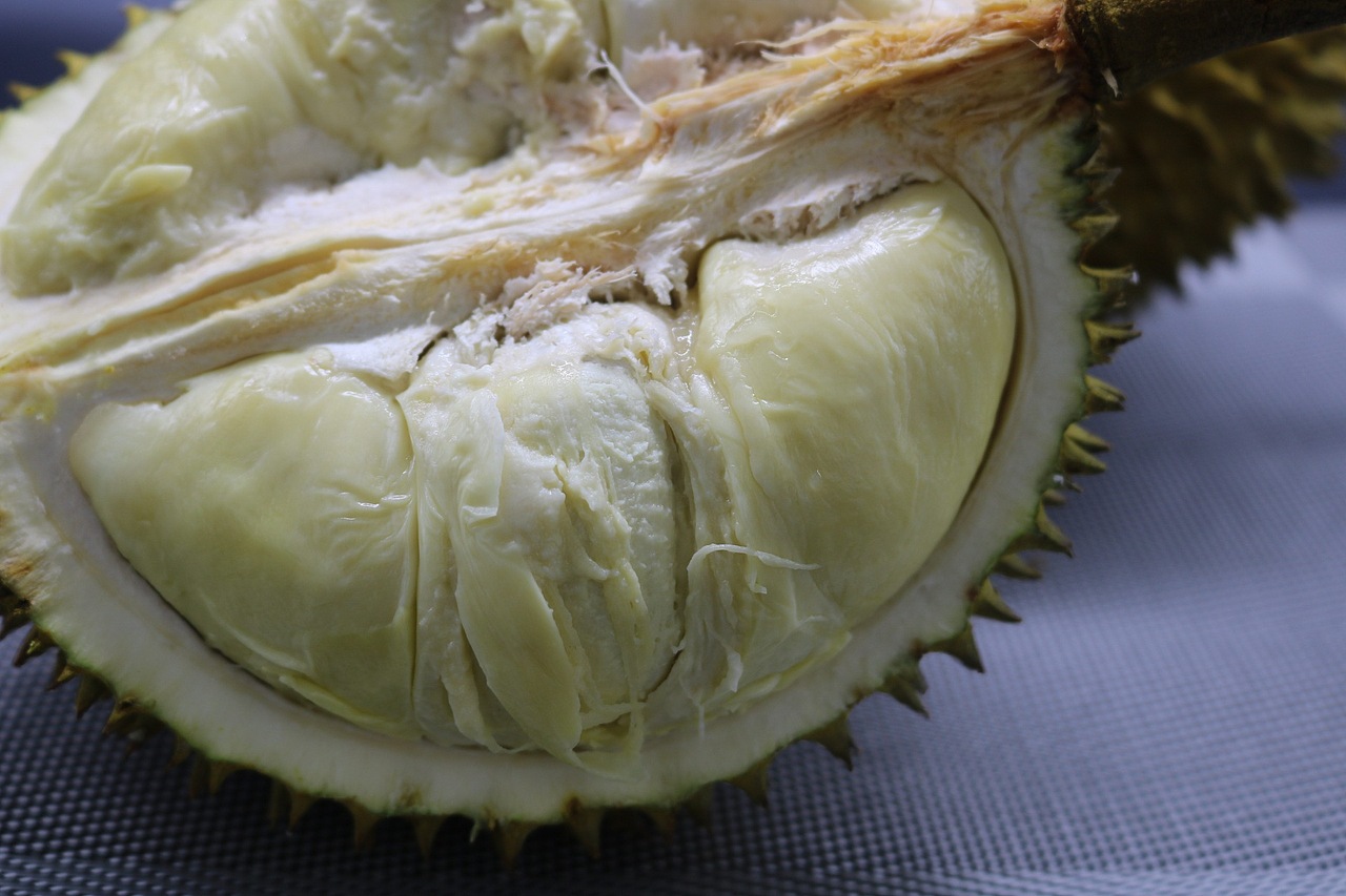 老男人果品老挝猫山王苦咖菲猫榴莲