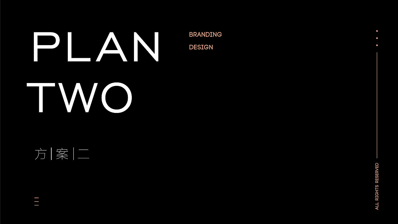 正本设计|金尚大美人品牌升级方案