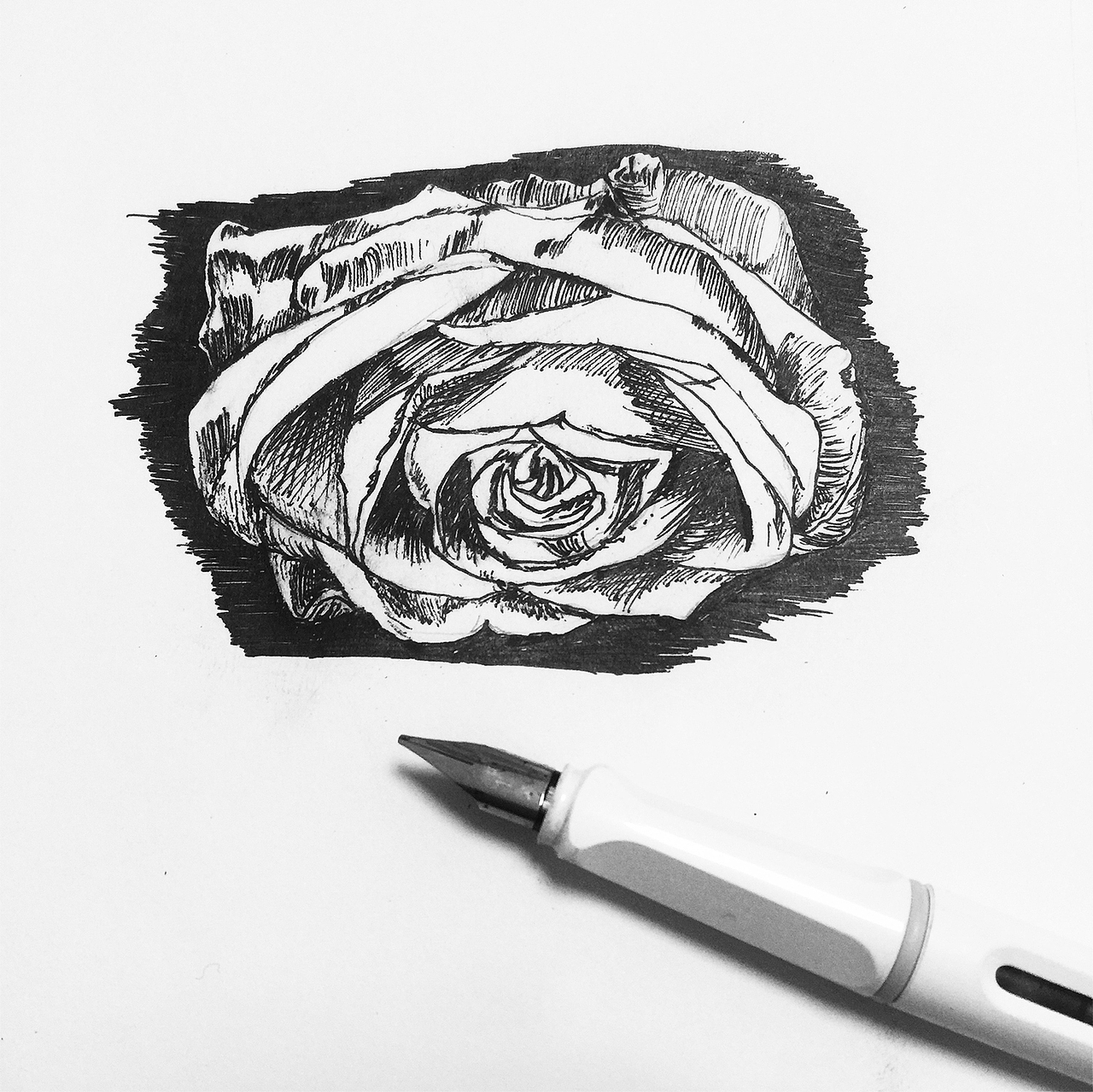 Happy Valentine's Day