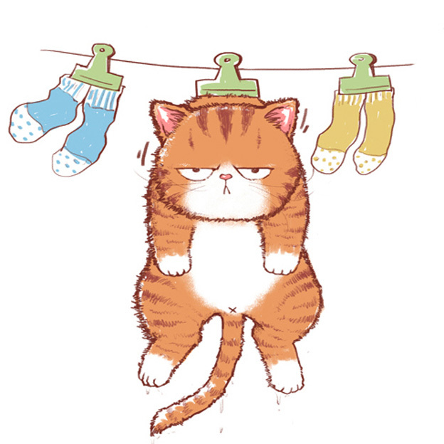 《带上橘猫去旅行》橘猫木瓜的表情包