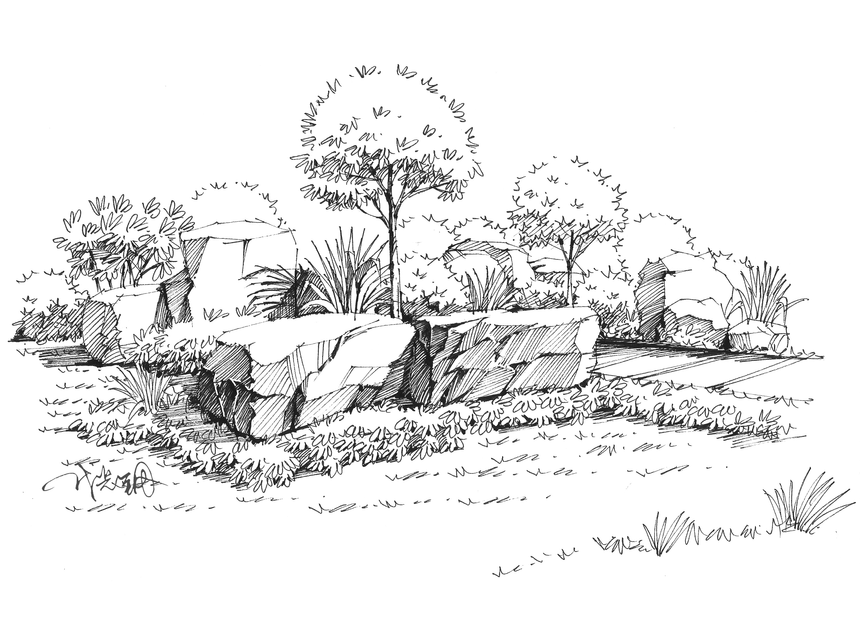 景观设计元素——石头与棕榈的故事
