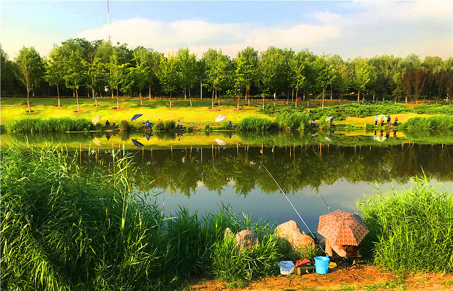 刘勇良手机纪实摄影：垂钓（图ZMTY0MTg1MzE2） - 人文/纪实摄影 - 站酷设计师刘勇良意创书设原创素材 - 站酷ZCOOL