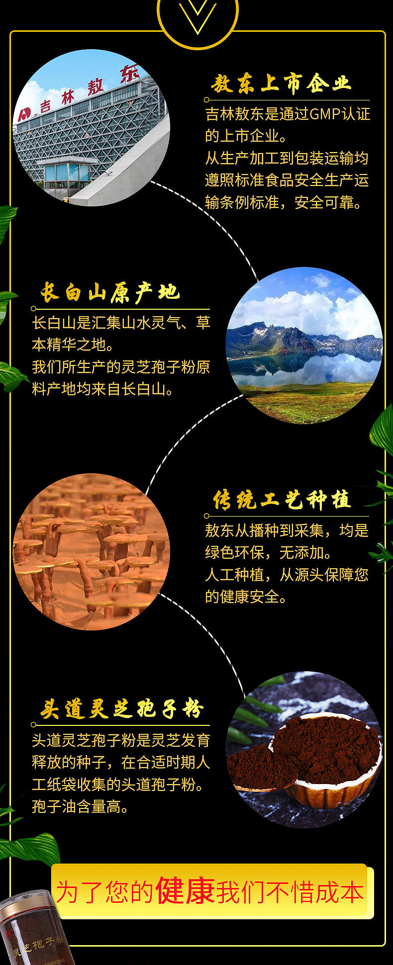 灵芝孢子粉详情页