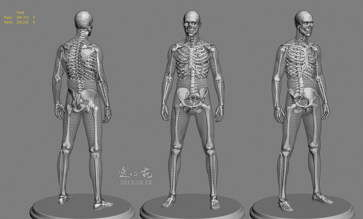 李小龙的骨骼透视图