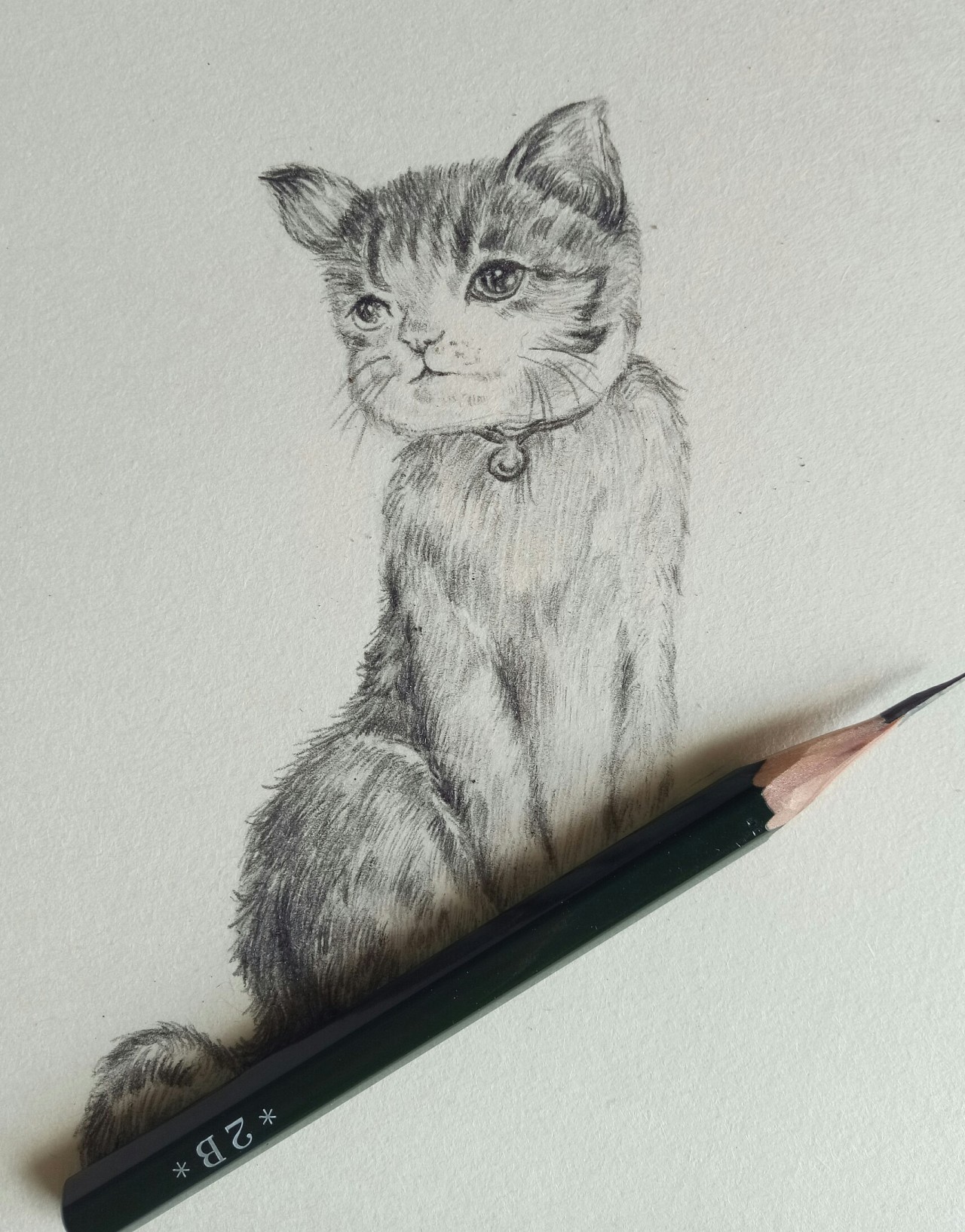 丑猫|插画|插画习作|艺依 - 原创作品 - 站酷 (zcool)