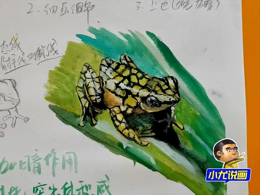 水彩画如何画雨林青蛙