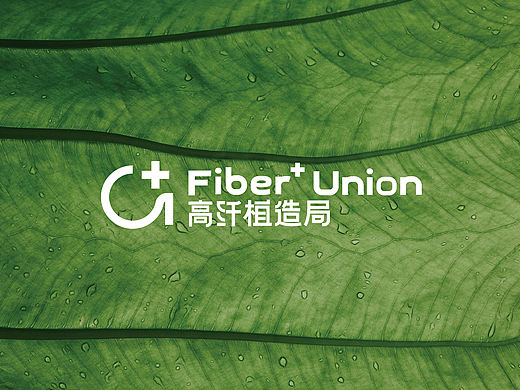 高纤植造局——品牌设计