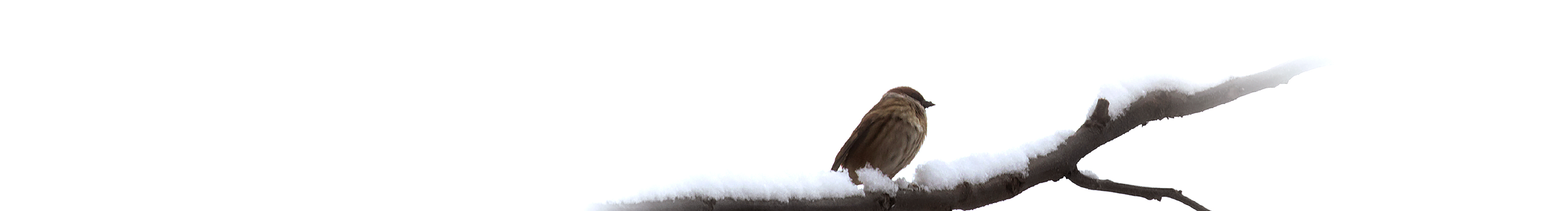 SuperBatterMan的個人主頁（封面預(yù)覽） - 主頁封面設(shè)置 - 站酷設(shè)計(jì)師SuperBatterMan原創(chuàng)素材 - 站酷ZCOOL