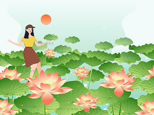 美丽的夏日荷花风景插画