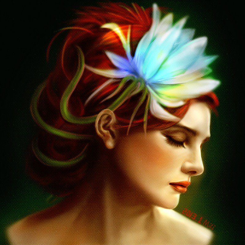 昙花一现（图ZODMwNTY2NA==） - 商业插画 - 站酷设计师mt2010原创素材 - 站酷ZCOOL