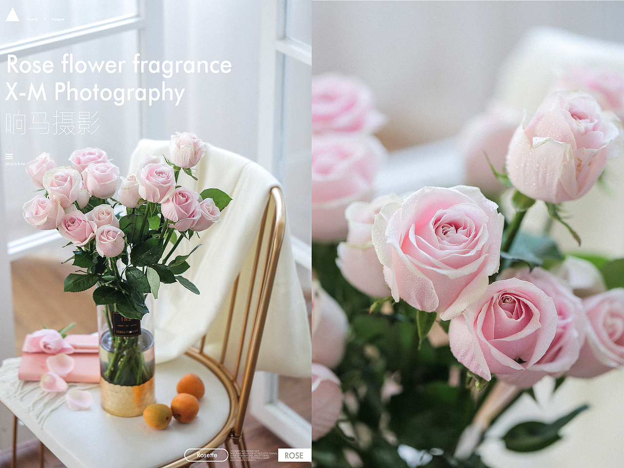 ROSE|响马摄影