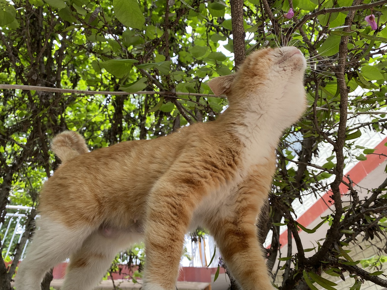 生活小照（圖ZMjU2NTc5MTYw） - 人文/紀(jì)實(shí)攝影 - 站酷設(shè)計(jì)師蘑菇mm原創(chuàng)素材 - 站酷ZCOOL