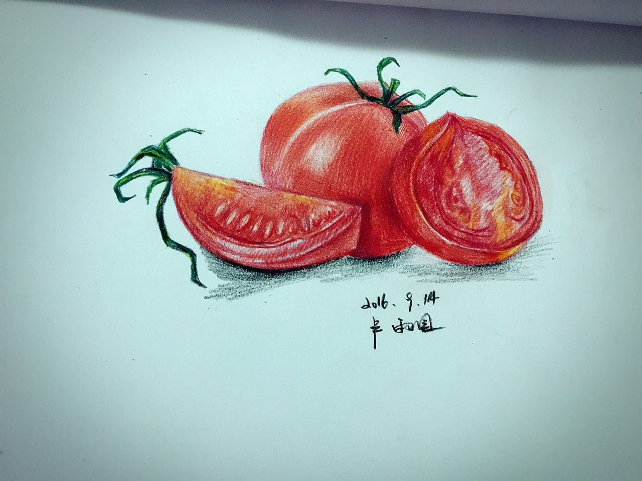 西红柿|插画|其他插画|mia8875 - 临摹作品 - 站酷 (ZCOOL)