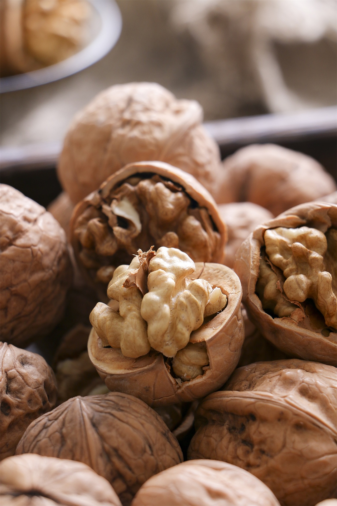 美食摄影丨老树核桃山核桃厚皮核桃