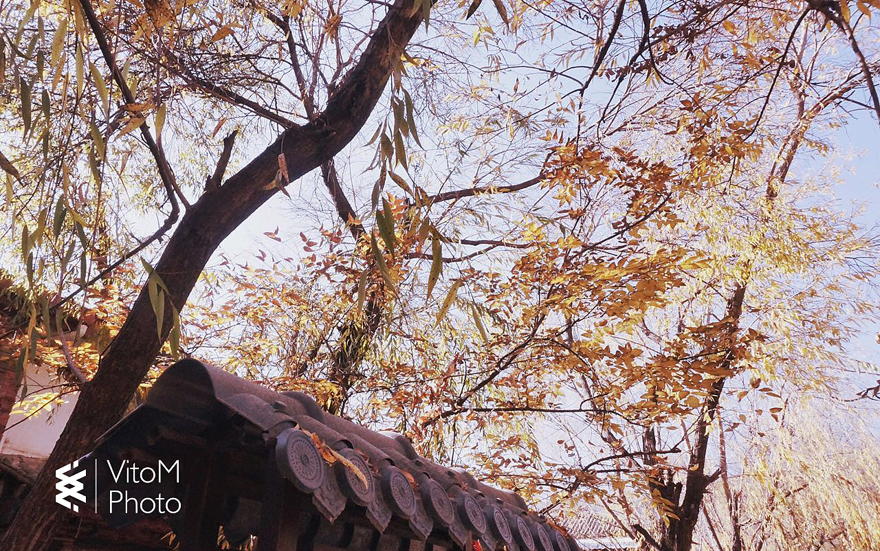 VitoM-个人摄影集1