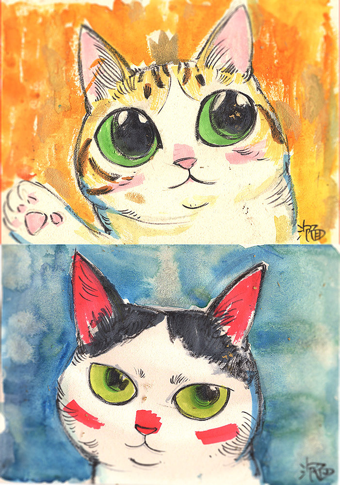 猫们~~