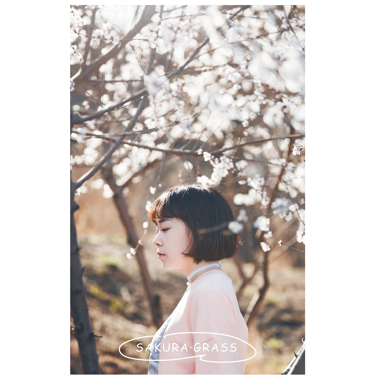 樱花草（图ZNDUzMjE4ODQ=） - 人像摄影 - 站酷设计师冰箱里的大象ps原创素材 - 站酷ZCOOL