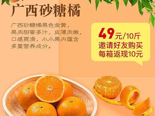 一个详情页