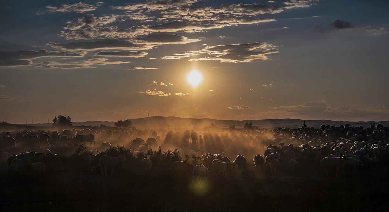 草原风光（图ZMTY4NzczODgw） - 风光摄影 - 站酷设计师王往原创素材 - 站酷ZCOOL
