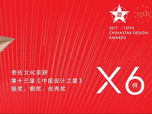 荣获 (第十三届）《中国设计之星》银奖、铜奖、入围奖