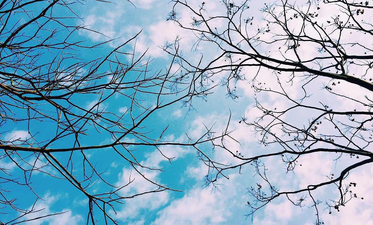 江南大学#有点晴有点冷