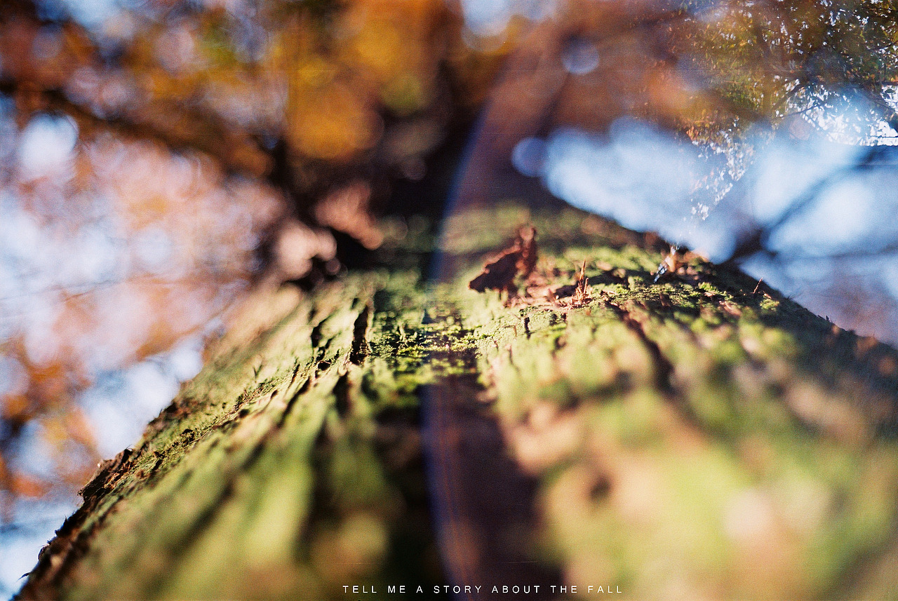 讲一个秋天的故事